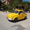 Montevago 2010 (269)